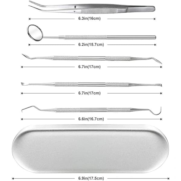 Munhygienkit - 5 delar rostfritt stål Silver