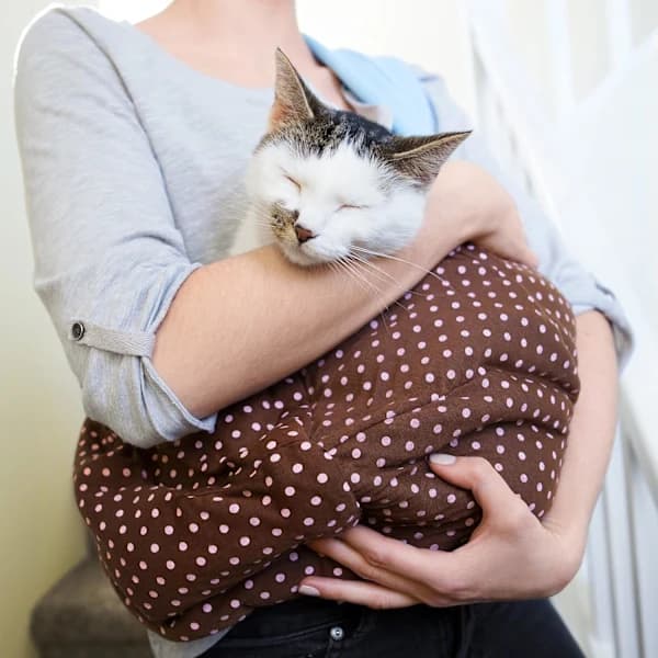 Slyngetaske til kat og hund - Grå