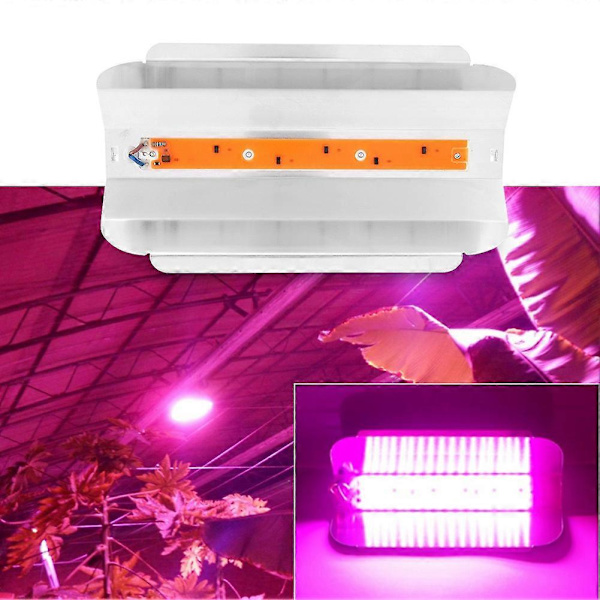 220V 50W Inomhusväxter COB LED Växande Ljus Fullspektrum Växtlampa