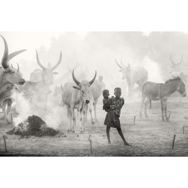 Dinka Siblings In Cattle Camp Poster 30x40 cm