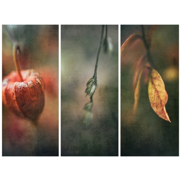 Autumn Impression Poster 30x40 cm