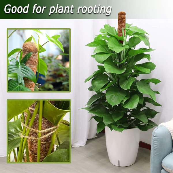 Mossastav Böjbar 70-100cm, Växtstöd / stödstav – Klätterväxter, 1 / 2-pack 2 st-90cm