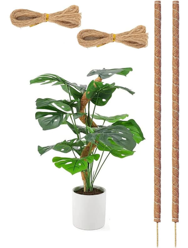 Mossastav Böjbar 70-100cm, Växtstöd / stödstav – Klätterväxter, 1 / 2-pack 2 st-80cm