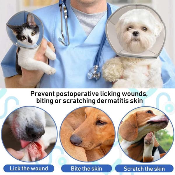 Mjuk Justerbar Pet Cone Krage, Efter Operation, Anti-Lick, Synvänlig XL