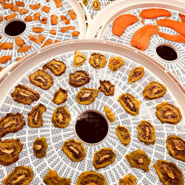 (8-pack) Runda silikondehydreringsark, premium non-stick silikonnät för frukttorkar, återanvändbara brickfoder (13\" diameter rund)