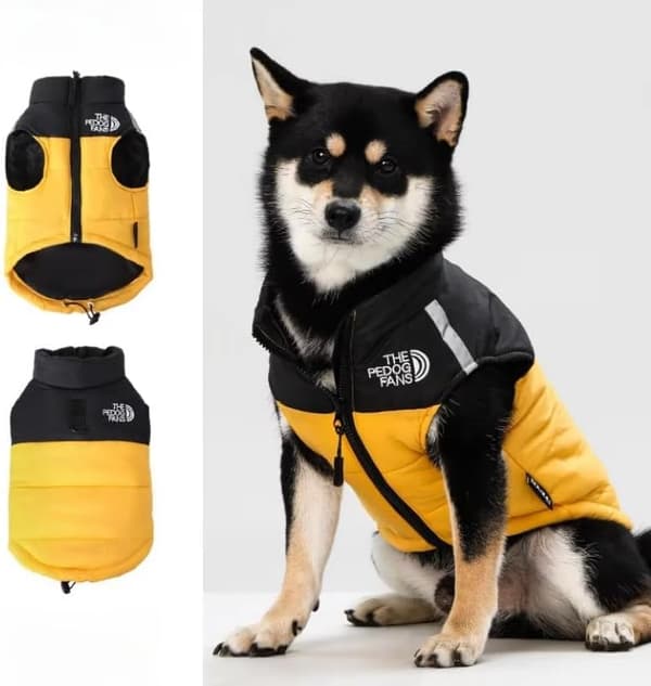 Hundevest - Stilige varme hundejakker for katter og valper, små til store (blå, L) L