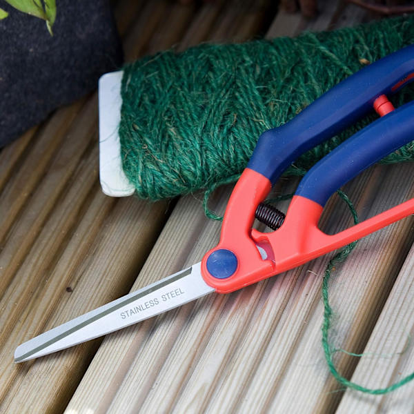 Razorsharp Trädgårdssax, Blå