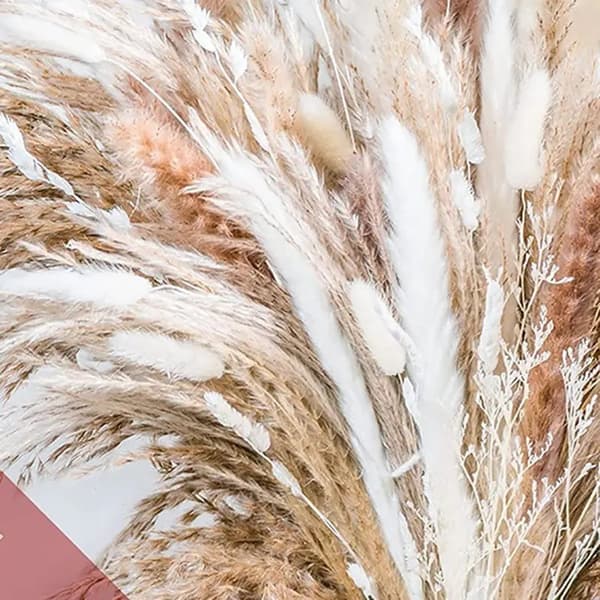 50 st torkad pampasgräsdekor, levande pampasgräsväxter för blomsterarrangemang bröllop boho soffbord heminredning