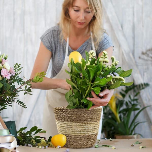 Søgræskurve til planter, vævede potter til indendørs og udendørs planter - til indretning