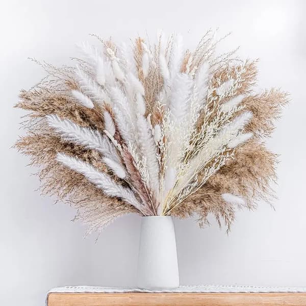 50 st torkad pampasgräsdekor, levande pampasgräsväxter för blomsterarrangemang bröllop boho soffbord heminredning