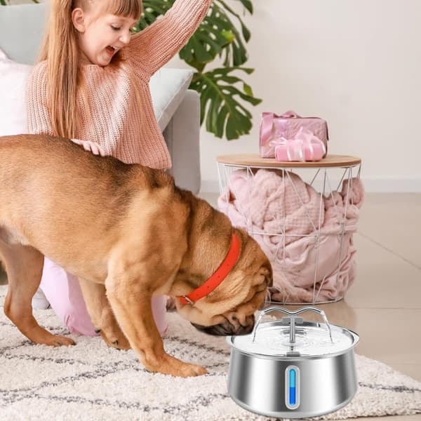 Kattfontän 4 L – Automatisk Vattenfontän med Biosensor för Katter
