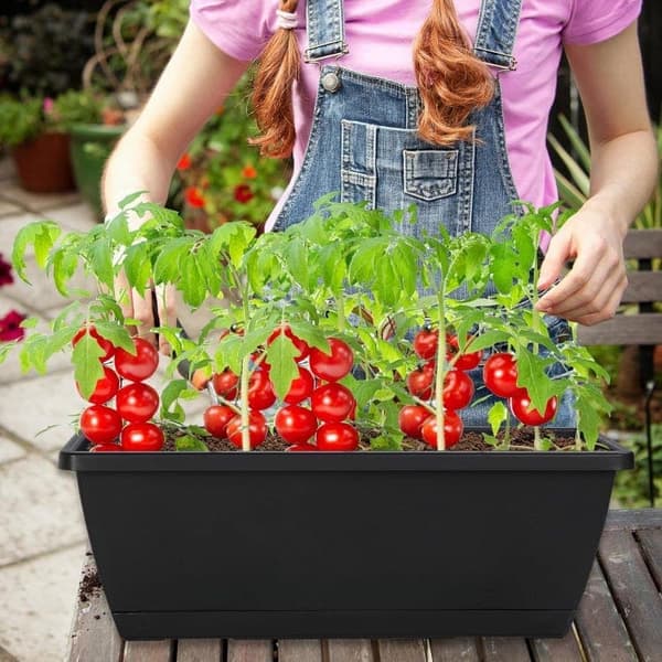 12-pack Rektangulära Blomkrukor – Plast med Dräneringshål & Bricka för Inomhus- & Utomhusbruk 50×15.5×19.5cm