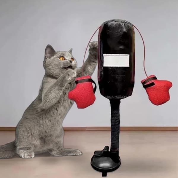 Katt Boxningssäck – Boxningsleksak med Sugpropp för Golv & Vägg