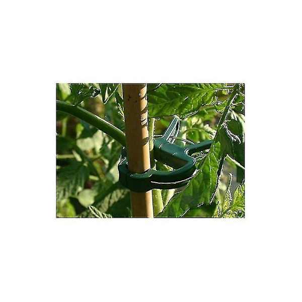 100 st Plantclips Växtclips för Klätterväxter Tomatclips Blomclips Växtclips Växtclips Klätterhjälp för Fästning av Växter (2 Storlekar i En)