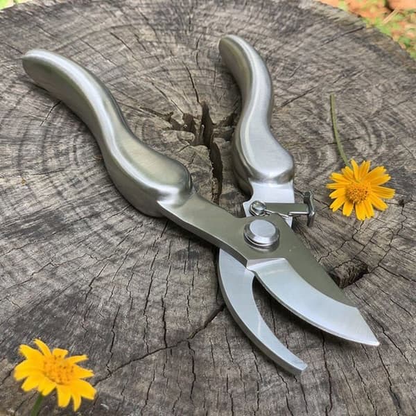Professional Stainless Steel Scissors 210mm PZCC
