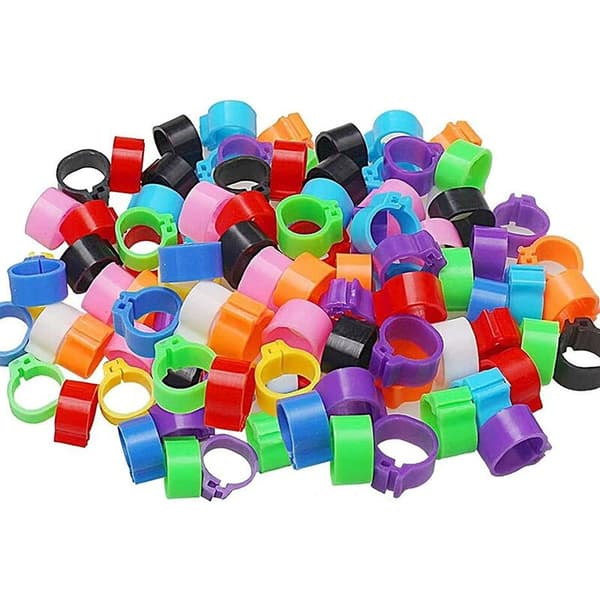 100 st fågelfotringar Plastduvidentifieringsringar 8 mm ringfågelfotringar