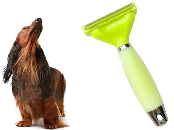 Kæledyrstrimmer - Rustfri klippemaskine til hund, kat, hest