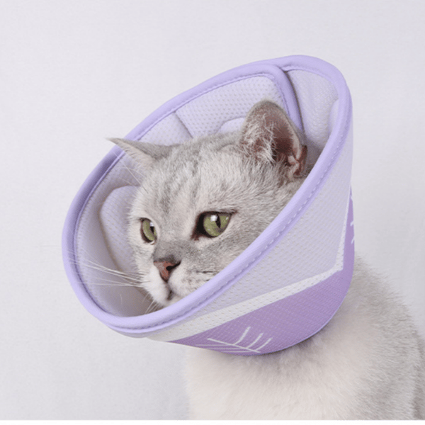 Halskrave til hunde og katte - Justerbar pasform S