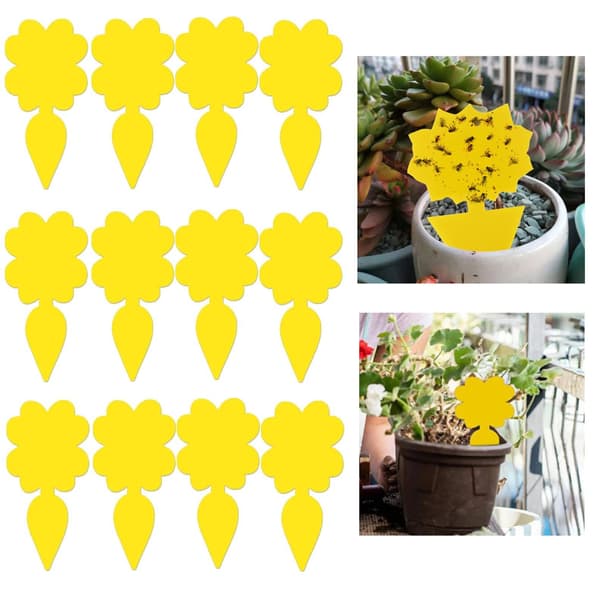Sticky Trap for Potted Plant Pests Fly Catcher 12-pack