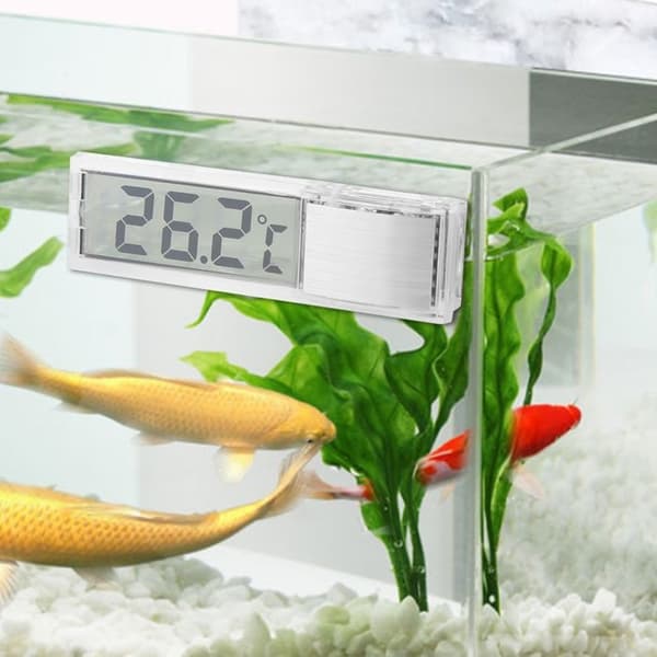 Transparent LCD 3D Digital Electronic Thermometer for Aquariums, Measures Saltwater Temperature
