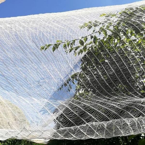 Fugle-/haglnet 3x10 m