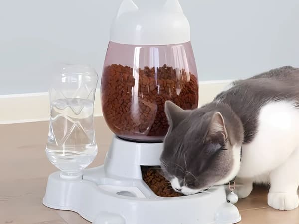 Automatisk madskål 2-i-1 - Til hund og kat