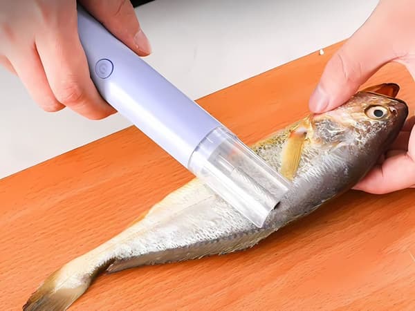 Elektrisk fiskeskraper skraper fiskeskjell