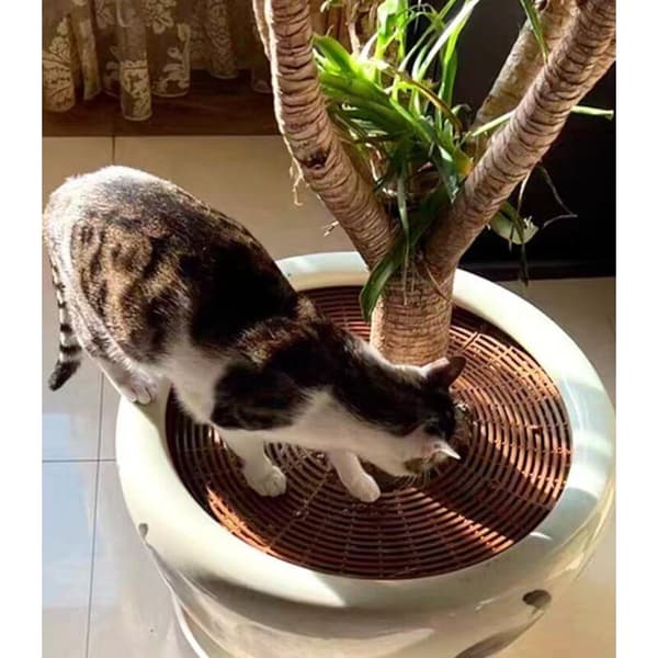 Sæt med 4 30 cm urtepotter med central udskæring til planter (sort)