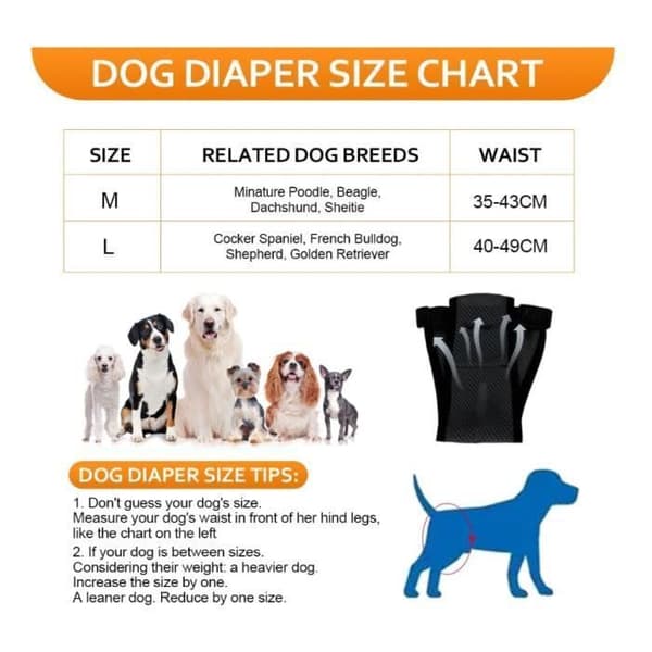2 STK Hunde Varmetruser, Store, Vaskbare, Justerbare, 6 Hygiejnebind, Etiket