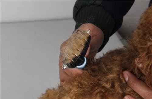 Flokefjerner underullskam for hund og katt Svart+Blå