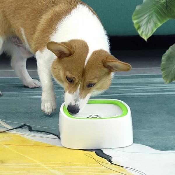 Drikkevandsdispenser til katte og hunde