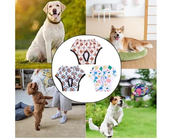 Hundbyxor - Ej specificerat - 3 stycken - Återanvändbara - Mjuka - Elastiska