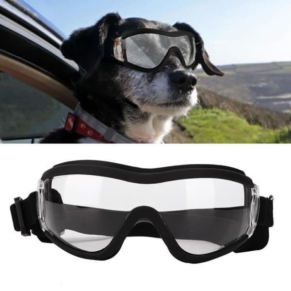 Svart Hund