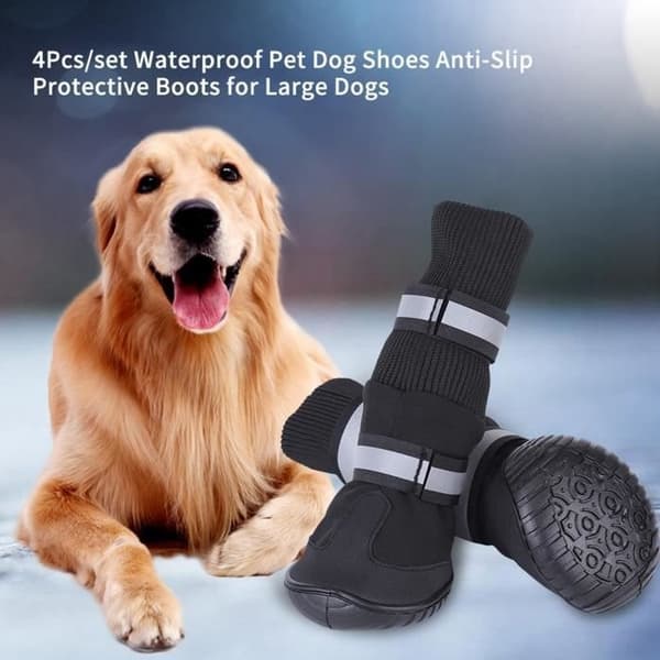 SURENHAP Kengät, 4 kpl, vedenpitävät kengät, lemmikkitarvikepullot, sininen takki XL