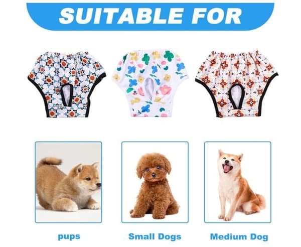 Hundbyxor - Ej specificerat - 3 stycken - Återanvändbara - Mjuka - Elastiska