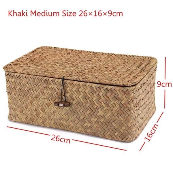 TEMPSA Förvaringslåda i Korg med Lock 26×16×9cm