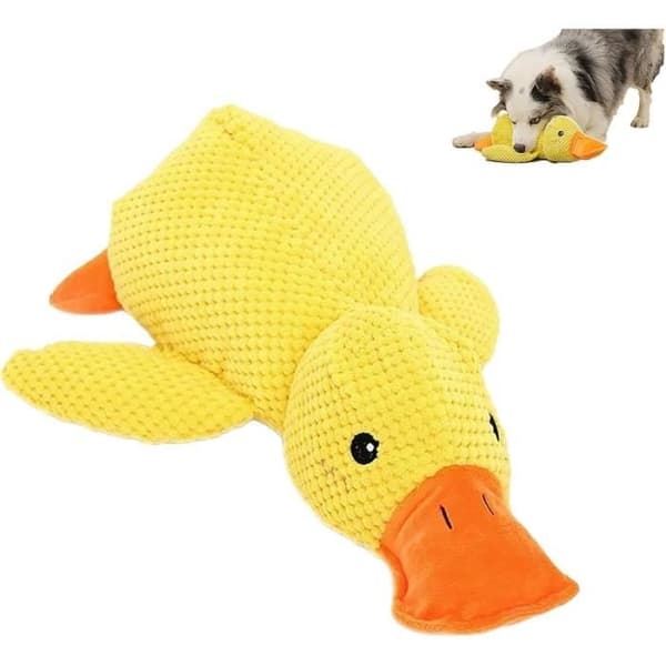 Mellow Dog And