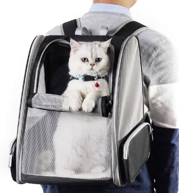 Innovativ boble rygsæk til kæledyr, til katte og hunde (sort)