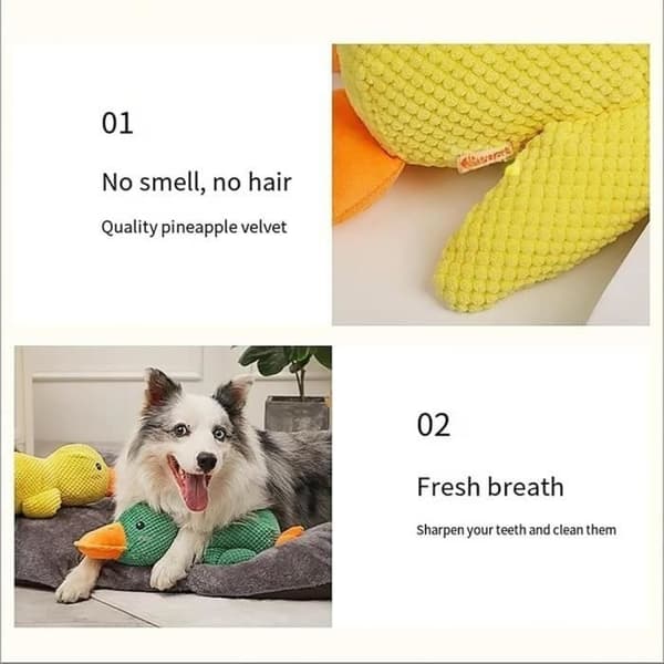 Mellow Dog And