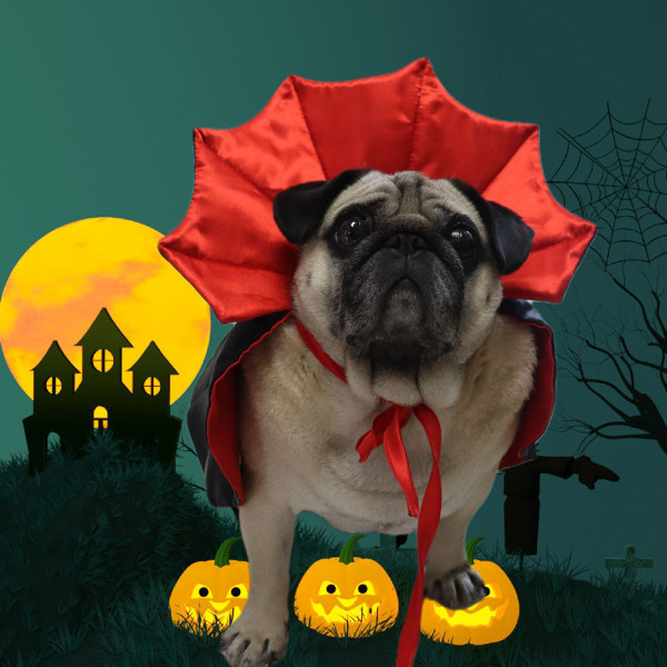 Rolig Halloween Hund Katt Vampyr mantel Cape Cosplay dekoration