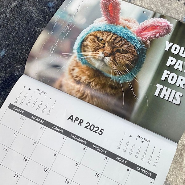 2025 Peed Off Cats Kalender Roliga Katttema Presenter För Kattälskare. 2025 Arg Kattkalender Personlig Kreativ Kalender Arg Katt Julgåva