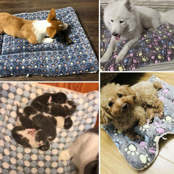 Husdjursmatta tryckt katt hund valp varm dyna filt kudde madrass blue star 61*41cm