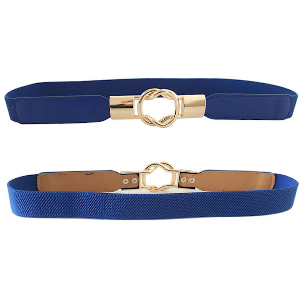 Liten elastisk stretch cinch midjebälte för damklänningar blue