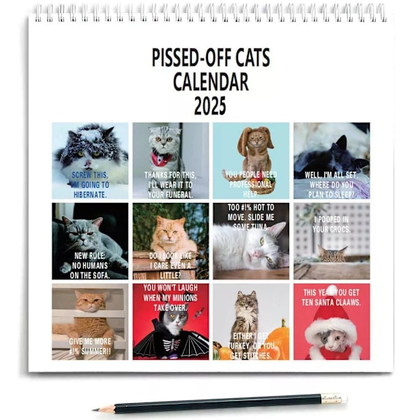 2025 Pissed-Off Cats Kalender Rolig Katt Väggkalender Katt Väggkalender 2025 Kalender Katt Skrivbords kalender