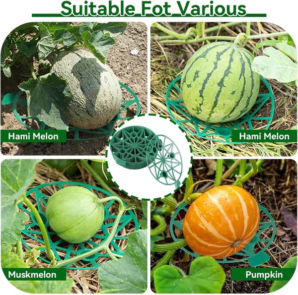 10 STK Melonholder, Vandmelonholder Stativ Melon Græskar Støtte Plast Græskar Støttesæt til Cantaloupe, Squash, Vandmelon