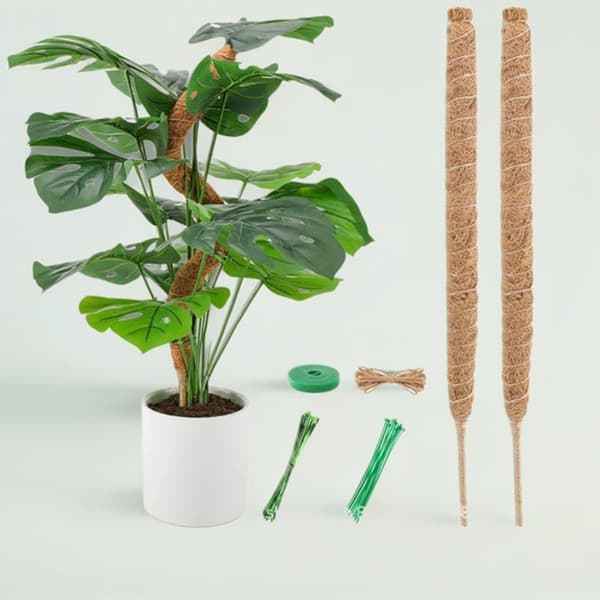 Coco Stick Set om 2 – Gröna grässtänger för växtstöd, perfekt för klättrande inomhusväxter (Coco-paket med 2)