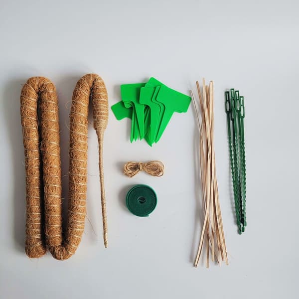 Coco Stick Set om 2 – Gröna grässtänger för växtstöd, perfekt för klättrande inomhusväxter (Coco-paket med 2)