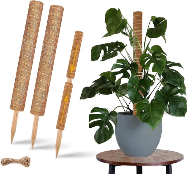 Moss Pole, 2-pack 43 cm Monstera Växtstöd för Klätterväxter Tillbehör Inomhus, Stapelbara Moss Poles Växtstöd Pinnar, Kokosfiber Växtpinne