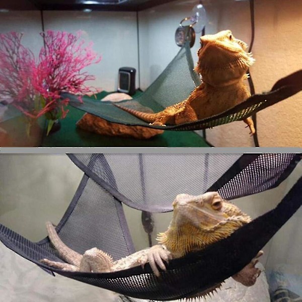 Reptil Komfortzon, Andningsbar Meshdesign, Skäggagam Hängmatta, Jungle Gym i Flera Nivåer För Naturlig Habitatutforskning