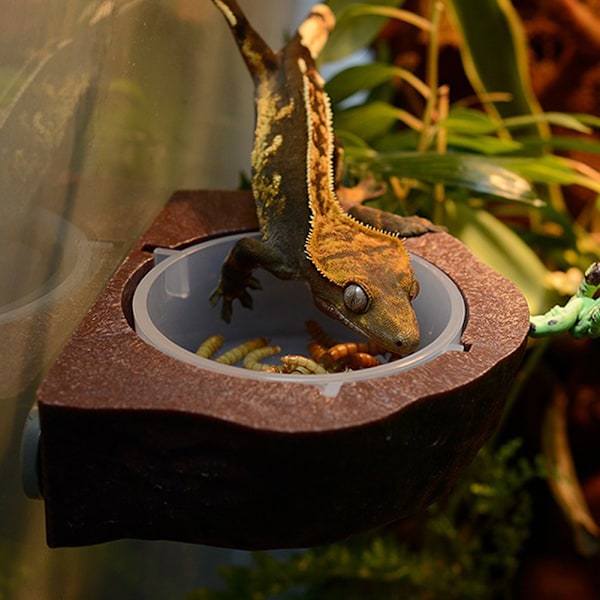 Reptilmatplats Uppgradering, Perfekt Reptilmatskål med Magnetisk Matningshylla för Förbättrad Matningsupplevelse